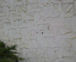 Graffiti Removal
